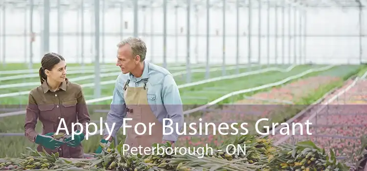 Apply For Business Grant Peterborough - ON